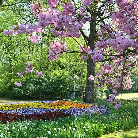 Guest house Am Kurpark Bad Bevensen